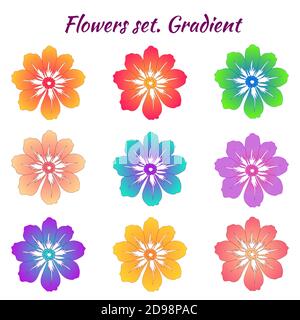Eine Reihe von Blumen in verschiedenen Farbverläufen. Trendige Farben. Blühende Knospen. Auf einem isolierten weißen Hintergrund. Dieses Muster kann für die Konstruktion verwendet werden Stock Vektor