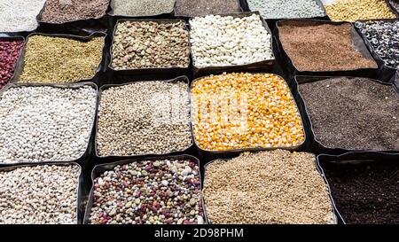 Bio-getrocknete Bohnen, Mais, Mungbohne, Kichererbsen auf dem Bauernmarkt. Stockfoto