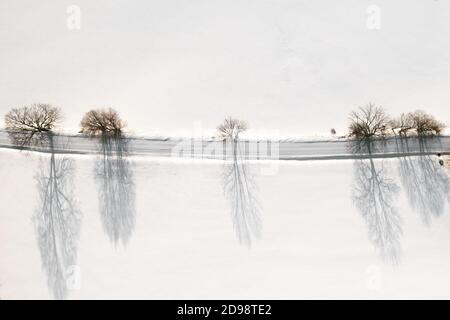 Luftaufnahme der Bäume entlang einer Straße mit erstaunlichen Schatten auf dem Schnee. Winterlandschaft. Stockfoto