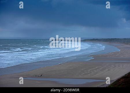 Swansea, Großbritannien. November 2020. Llangennith, Gower Peninsula, Swansea, 3. November 2020 EIN Einzelgänger am Strand von Llangennith auf der Gower Peninsula bei Swansea am späten Nachmittag sammeln sich am späten Nachmittag Gewitterwolken, da das Wetter viel kälter wird. Bild von Lisa Dawson Rees Kredit: Phil Rees/Alamy Live Nachrichten Stockfoto