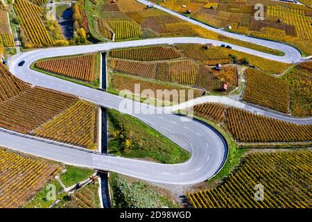 Eine Serpentinenstraße, die sich durch herbstliche Weinberge im Weinbaugebiet Leytron, Leytron, Wallis, Schweiz schlängelt Stockfoto