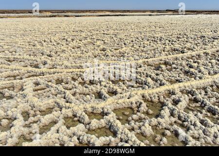 Kristallisiertes Salz in einem Salzverdampfungsteich einer Salzfabrik, Assale Salzsee in der Nähe von Hamadela, Danakil Depression, Afar Region, Äthiopien Stockfoto