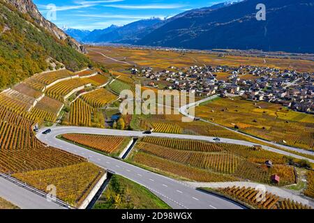 Weinberge in Herbstfarben im Rhonetal, Weinbaugebiet Leytron, Leytron, Wallis, Schweiz Stockfoto