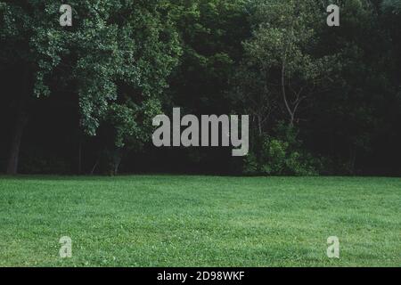 Horizont von Wiese und Wald, Campingplatz auf grüner Ebene Wiese Stockfoto