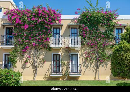 Fenster mit Balkon an der Gebäudefassade mit gusseisernen Ornamenten und Blumenbaum an der Wand in Bodrum, Türkei Stockfoto