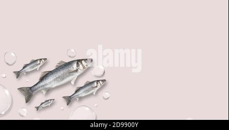 Bunte Muster von Fischen mit Blasen auf pastellrosa Hintergrund. Kreatives Minimalkonzept. Flach liegend. Stockfoto