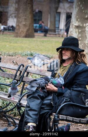 Larry Reddick, bekannt als Larry the Birdman, füttert eine Taubenschar im Washington Square Park, Greenwich Village, New York City, USA Stockfoto