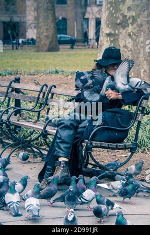 Larry Reddick, bekannt als Larry the Birdman, füttert eine Taubenschar im Washington Square Park, Greenwich Village, New York City, USA Stockfoto