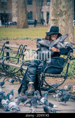 Larry Reddick, bekannt als Larry the Birdman, füttert eine Taubenschar im Washington Square Park, Greenwich Village, New York City, USA Stockfoto