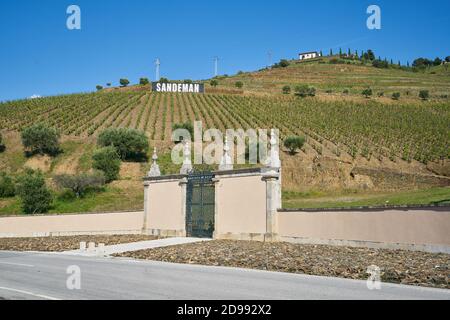 Sandeman douro Weingarten Eingang, in Portugal Stockfoto