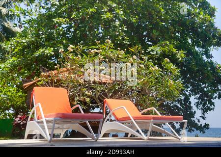 Liegestühle am Pool. Plastikliegen für Touristen. Stockfoto