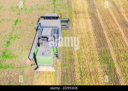 Oben Ansicht der Mähdrescher Ernte Weizenfeld, Landwirtschaft Feldarbeit Stockfoto