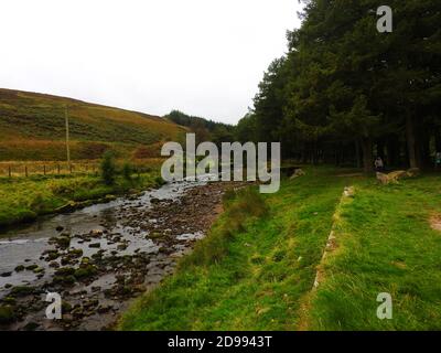 Ein Picknickplatz am Straßenrand in der Nähe des Flusses im Wald von Bowland, Lancashire, September 2020. Die Gegend ist ein beliebtes Touristenziel für Autofahrer, Wanderer, Wanderer und Radfahrer. Auch bekannt als die Bowland Fells, ist es ein schönes Naturgebiet von Gritstone Fells, tiefen Tälern und Torfmoorland, vor allem im Nordosten Lancashire, England mit einem kleinen Teil in North Yorkshire. 1964 wurde es zu einem Gebiet von herausragender natürlicher Schönheit (AONB) ernannt Stockfoto