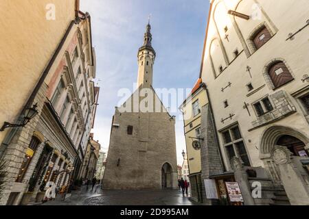Tallinn, Estland. Der Turm des Tallinner Rathauses (Tallinna raekoda) Stockfoto