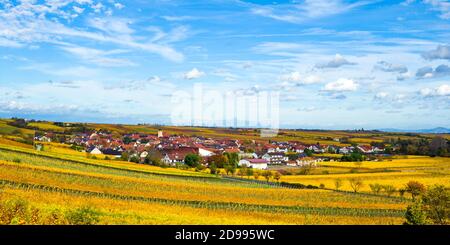 Weinberge im Herbst in der Nähe von Ungstein Pfalz Region Stockfoto