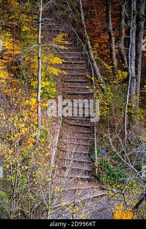 Warme Farben des Herbstes im Wald mit dem Holztreppen Stockfoto