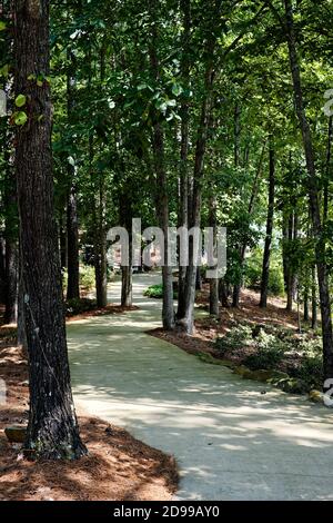 Im Barber Motorsports Park in Birmingham, Alabama, gibt es viel zu sehen. Stockfoto