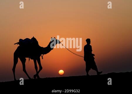 JAISALMER, Indien, 2. November 2017: Karawane der Kamele bei Sonnenuntergang in den Sand der Wüste. Mehrere Safaris in der Wüste sind für die Touristen durch l organisiert Stockfoto