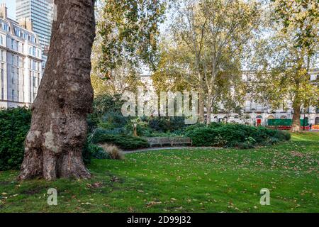 Fitzroy Gardens in Fitzroy Square an einem sonnigen Nachmittag im Oktober, London, Großbritannien Stockfoto