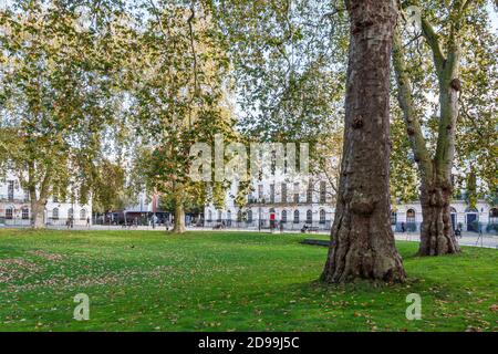 Fitzroy Gardens in Fitzroy Square an einem sonnigen Nachmittag im Oktober, London, Großbritannien Stockfoto