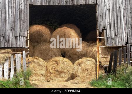 Heuballen werden in einer alten Holzscheune gelagert Russische Landschaft Stockfoto