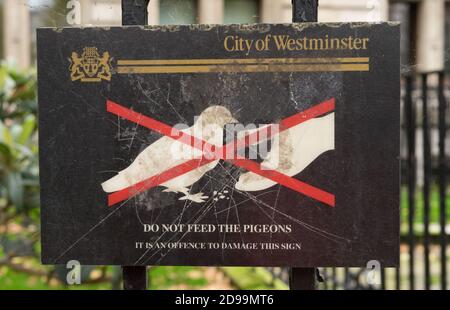 Füttern Sie das Taubenschild nicht an einem Metallzaun. London Stockfoto