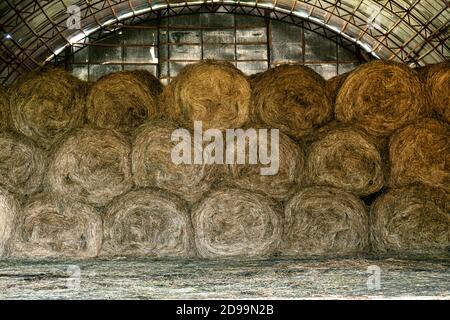 Heuballen werden in einer alten Zinnscheune gelagert Russische Landschaft Stockfoto