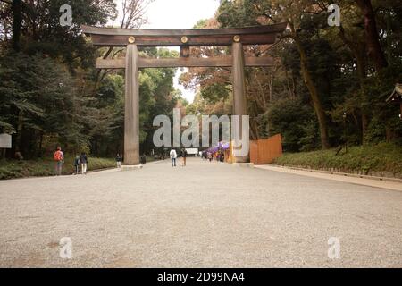 TOKIO, JAPAN - 17. NOVEMBER 2018: Tori-Tor am Meiji Yoyogi-Schrein in Tokio, Japan Stockfoto