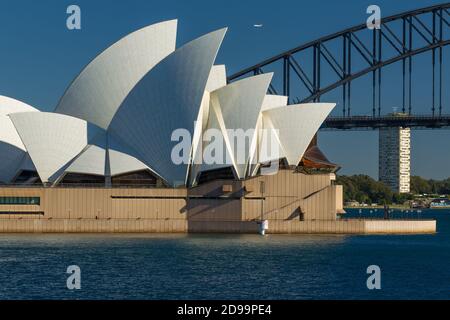 Sydney Opera House und Sydney Harbour Bridge in Sydney, Australien, mit einem Qantas Jet im Himmel darüber. Stockfoto