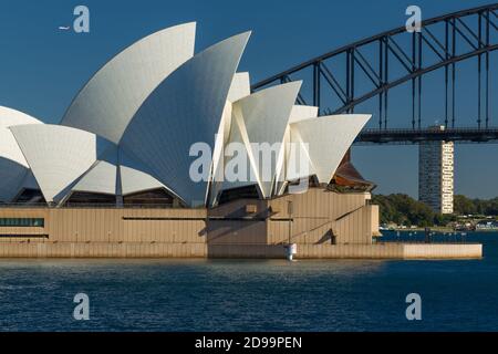 Sydney Opera House und Sydney Harbour Bridge in Sydney, Australien, mit einem Qantas Jet im Himmel darüber. Stockfoto