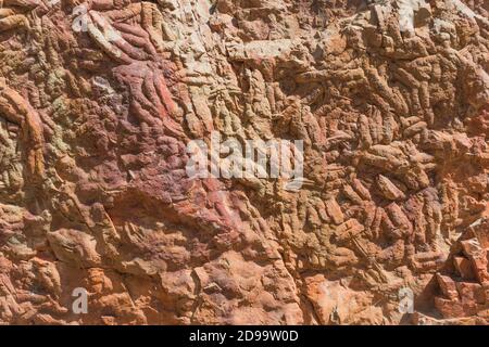 Spuren von versteinerten Trilobiten im rolizofarbenen Stein, Hintergründen und Texturen Stockfoto