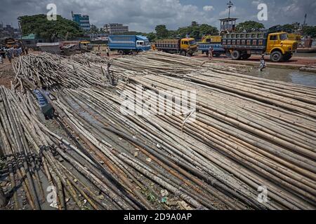 Chittagong, Bangladesh, Juli 2009 - EINE große Bambuslieferung wartet darauf, per LKW transportiert zu werden. Stockfoto