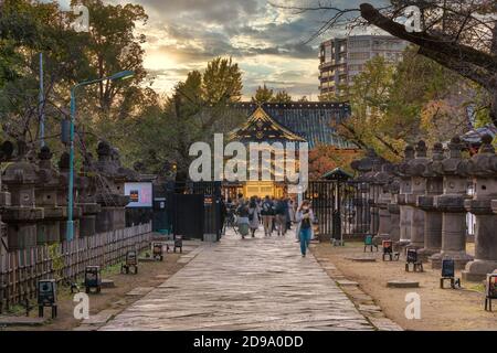 tokio, japan - november 10 2019: Steinlaternen auf dem Weg zum mit Goldfolien bedeckten Ueno Tōshō-gū-Schrein, der als wichtige Kulturschaffende gilt Stockfoto