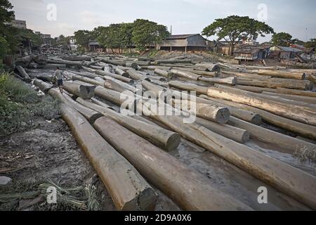 Chittagong, Bangladesch, Juli 2009 - EINE große Holzlieferung im Hafen wartet darauf, mit dem Schiff transportiert zu werden. Stockfoto