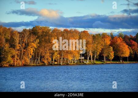 Forelle Lake, Michigan, USA. Der Herbst und die späte Nachmittagssonne steigen auf einem Küstenstreifen entlang des Trout Lake auf der Upper Peninsula of Michigan ab. Stockfoto