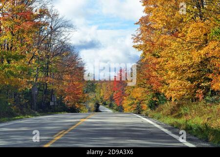 Paradise, Michigan, USA. Fall steigt auf einem Stück leerer Autobahn in der Upper Peninsula von Michigan. Stockfoto