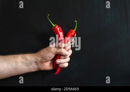 Die Hand des Mannes hält zwei rote Paprika. Zwei reife Chilischoten und Hand auf schwarzem Hintergrund. Draufsicht in einem Winkel. Selektiver Fokus. Stockfoto