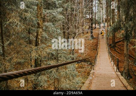 Eine Hängebrücke mitten im Wald. Stockfoto