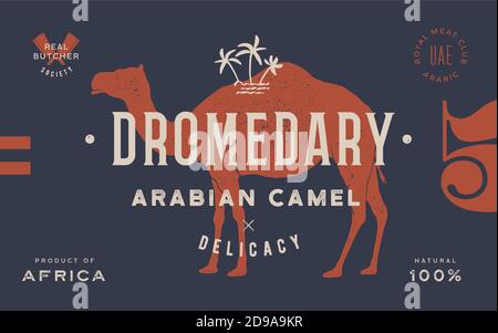 Fünf-Punkt-Stern-Logo mit dem Buchstaben M Stock Vektor