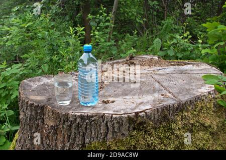 Plastikwasserflasche und klares Glas Wasser auf der Oberfläche von rissigen Stumpf mit Moos im Wald, auf dem Hintergrund von Laub. Konzept: Gesunder Lebensstil Stockfoto