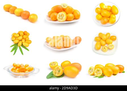 Sammlung von Kumquats Nahaufnahme auf weiß Stockfoto