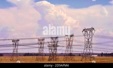 Elektrische Pilons laufen durch südafrikanische Grasland auf einem heißen Sommertag mit einer großen weißen Kumuluswolke oben Stockfoto