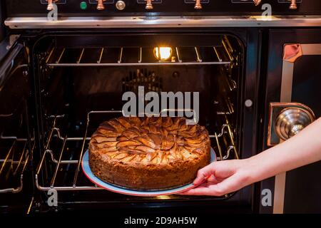 Die Hände nehmen hausgemachten Apfelkuchen aus dem Ofen. Apfelkuchen backen im Ofen. Traditionelle französische Apfelkuchen im Ofen. Stockfoto