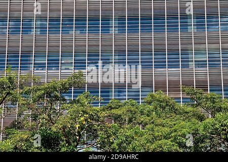 Moderne Glasbüros hinter einem Baumvordergrund. Der wolkige Himmel spiegelt sich in den verspiegelten Fenstern. Stockfoto