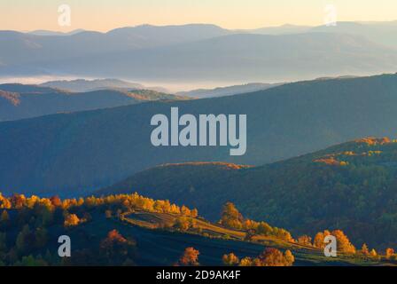 Misty Sonnenaufgang in den Bergen. schöne Herbstwetter. schöne Natur Landschaft vom Gipfel eines Hügels beobachtet. Bäume in bunten Herbstfarben. Nebel gl Stockfoto