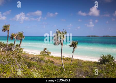 Kuba, Jardines del Rey, Cayo Guillermo, Playa Pilar Stockfoto