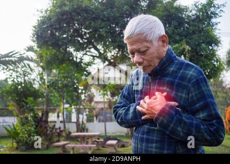 Älterer Mann, der Brustschmerzen klammert, während er in einem Garten steht. Die ersten Anzeichen von Angina pectoris, Myokardinfarkt oder Herzinfarkt. Konzept der alten Peopl Stockfoto