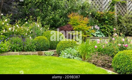 Landschaftlich schöner sonniger privater Garten (modernes Design, Sommerblumen, Randpflanzen, Sträucher, Kastenbälle, niedrige Mauer, Zaun, Rasen) - Yorkshire, England Stockfoto