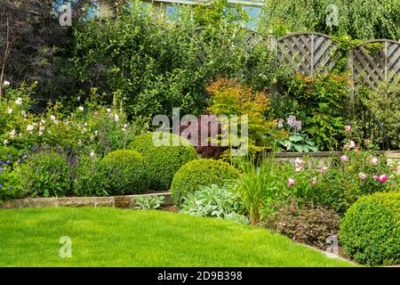 Landschaftlich schöner sonniger privater Garten (modernes Design, Sommerblumen, Randpflanzen, Sträucher, Kastenbälle, niedrige Mauer, Zaun, Rasen) - Yorkshire, England Stockfoto