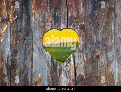 Weinberge entlang der südsteirischen Weinstraße, einer reizvollen Region an der Grenze zwischen Österreich und Slowenien, gesehen durch ein altes herzförmiges Vintage-Holz Stockfoto